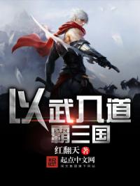 以武入道霸三国