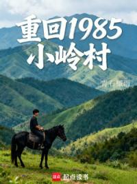重回1985小岭村