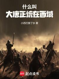 什么叫大唐正统在西域